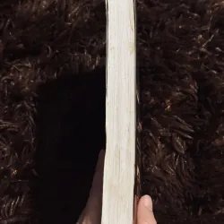 Đèn không hắt bóng 745666