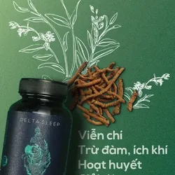 Delta Sleep - Hỗ trợ ngủ ngon 602525