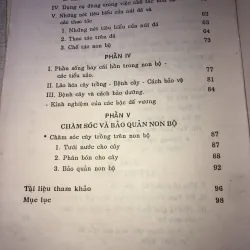 Chế tác non bộ 970633