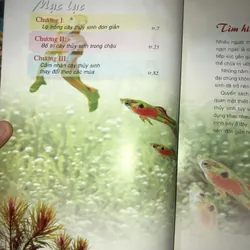 Cây cảnh trong nước - Trồng và chăm sóc 100 loại cây cảnh trong nước  732804