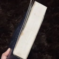 Những đứa con của nửa đêm 720007