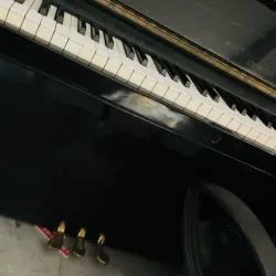 Đàn Piano Cơ của Nhật 751644