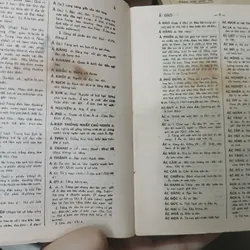 TỰ ĐIỂN VIỆT NAM 716681