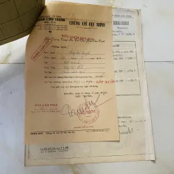 Bộ thành tích biểu xưa nam sinh Trung học tư thục Phan Sào Nam và Phan Chu Trinh Biên Hoà 1013154