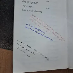 Lê hấp đường phèn 1021264