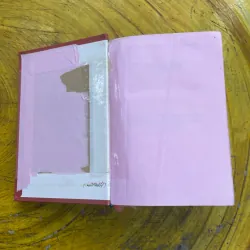 TỪ ĐIỂN ANH - VIỆT VIỆT - ANH 731094