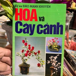 Sứ Điệp Loài Hoa/ Hoa và Cây cảnh 443575