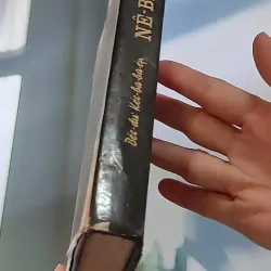 Nê-Bít-Đắc (1983) - Béc-dư Kéc-ba-ba-ep 607736