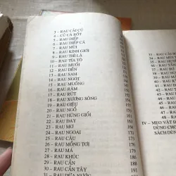 Những phương thuốc hay “Rau cỏ trị bệnh” 975903