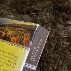 Những người nuôi chữ bồ câu 708136