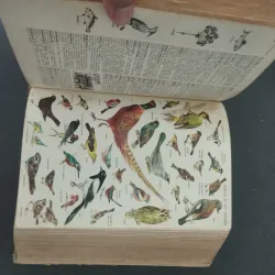 Petit Larousse 1963 993680