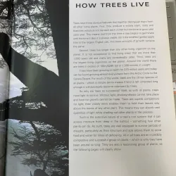 TREES OF THE WORLD (CÂY CỐI TRÊN THẾ GIỚI) - RUSSELL, CUTLER & WALTERS 795877