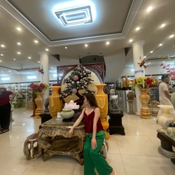 Sét áo nhung the + quần xuông lụa 491415
