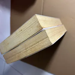 Người láng giềng ánh trăng 562492