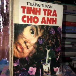 Tình trả cho anh - Trường Thanh 