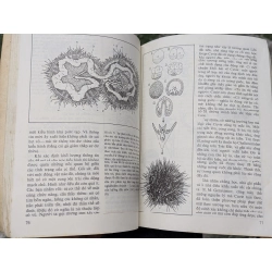 Những tiên đề của sinh học - B.M. Međnikov 126689