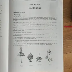 Bộ sách Từ điển Cây thuốc Việt Nam tập 1, 2 1021608