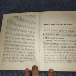 TÌM HIỂU PHONG CÁCH NGUYỄN DU TRONG TRUYỆN KIỀU 992570