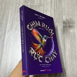 Chim ruồi rực cháy. 3b5 574931