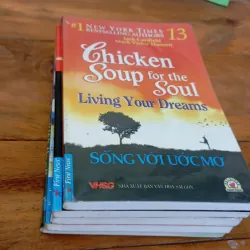 Combo Hạt giống tâm hồn+ Chicken soup for the soul 997099