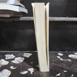 AcE the technical pilot interview 1011383