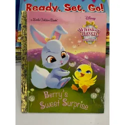 Berry's Sweet Surprise – Disney 559550
