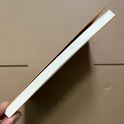 Dám thất bại - Nguyễn Anh Dũng 708877