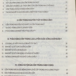 Hãy trả lời em Tại Sao? 385180