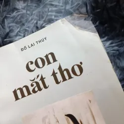 Con mắt thơ (Đỗ Lai Thúy) 1023961