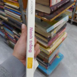 Sách Nanh Trắng - Jack London (B1) 701545