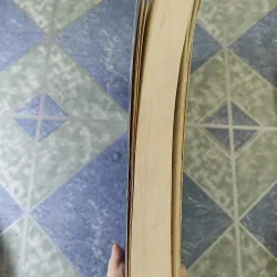 Hướng dẫn thăm khám chẩn đoán và điều trị bệnh bằng tay - BS. Lê Vinh 781983