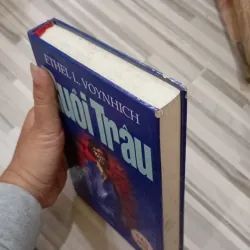 Ruồi Trâu tiểu thuyết  971244