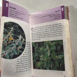 Từ điển tranh về các loài cây - Lê Quang Long  751505