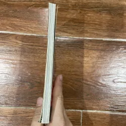 Lý Tiểu Long cuộc đời và sự nghiệp (8) 994102