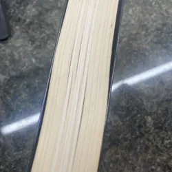 Tương lai khác thường James Canton 727776