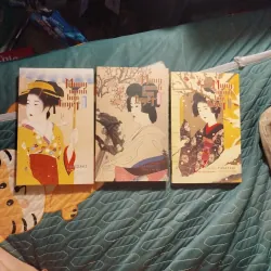 Combo Mong manh hoa tuyết - Tanizaki Junichiro