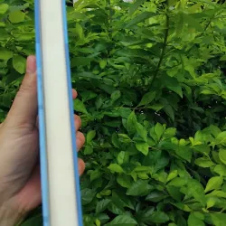 Triết học ngôn ngữ Voloshinov một số vấn đề học thuật hậu huyền thoại Bakhtin 997260