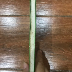 Cánh đồng bất tận - Nguyễn Ngọc Tư (k1) 509544