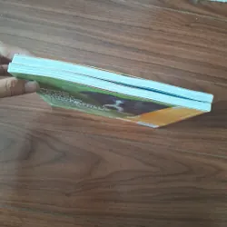 Đi tìm momo 557804