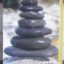 Yếu Chỉ Tu Tập Và Hành Đạo - Thích Thái Hòa mới 90% 736839