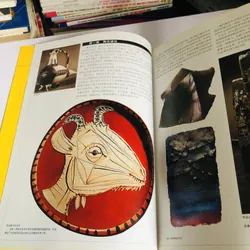 📘 陶艺设计 (Sách về thiết kế gốm sứ – tiếng Trung) 601397