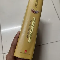 Đặc trưng và sắc thái văn hóa. Vùng và tiểu vùng ở Việt Nam 699358