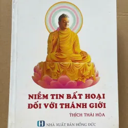 SÁCH NIỀM TIN BẤT HOẠI ĐỐI VỚI THÁNH GIỚI - THÍCH THÁI HOÀ 1046131