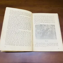 Nhiếp ảnh  605189