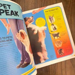 ✨𝑬𝒗𝒆𝒓𝒚𝒕𝒉𝒊𝒏𝒈 𝑷𝒆𝒕𝒔✨ 701627