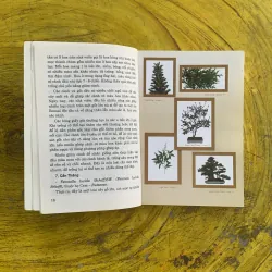 KIỆT TÁC BONSAI VIỆT NAM VÀ THẾ GIỚI- ĐỨC THÀNH biên soạn 1022452