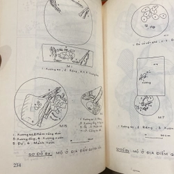 VĂN HÓA QUỲNH VĂN, sách nghiên cứu khảo cổ học Việt Nam (xb 1998) 550418