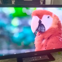 Tivi TCL 28" Xem Camera + Show nhạc -Full phụ kiện 70223