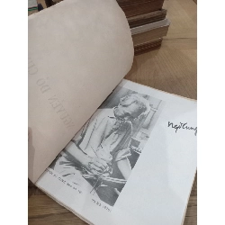 Nguyễn Đỗ Cung - Chu Quang Trứ, Khương Huân, Nguyễn Trân