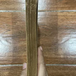 Đường vào khoa học (8) 590748